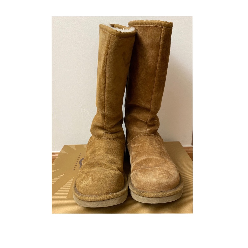UGG Knightsbridge back zip boot